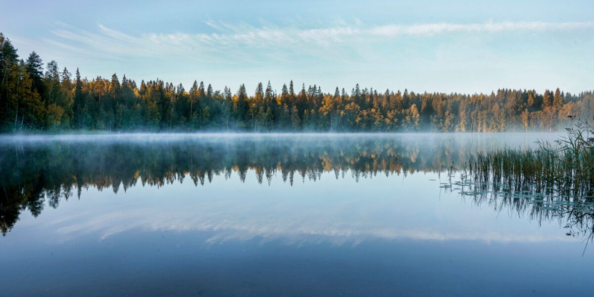 Lac tranquille en Finlande entouré de forêts au lever du soleil