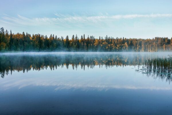 Lac tranquille en Finlande entouré de forêts au lever du soleil